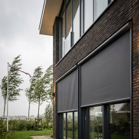 Image (7)